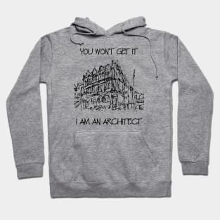 you wont get it I am an architect Hoodie